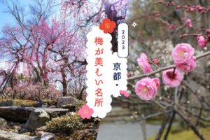 京都・梅が美しい名所