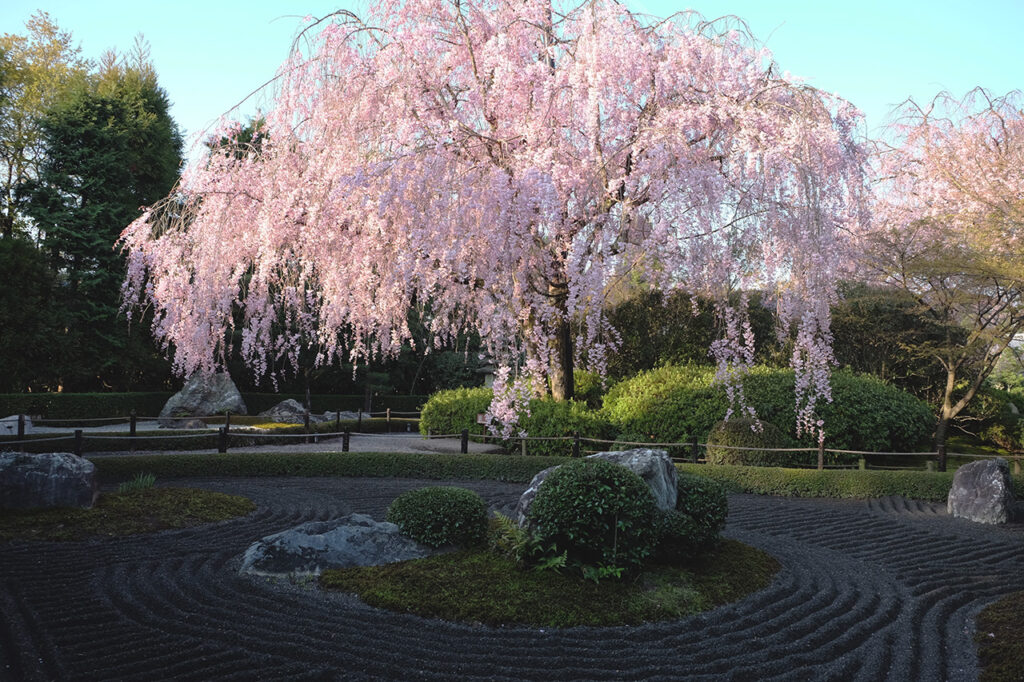 Myoshinji Temple