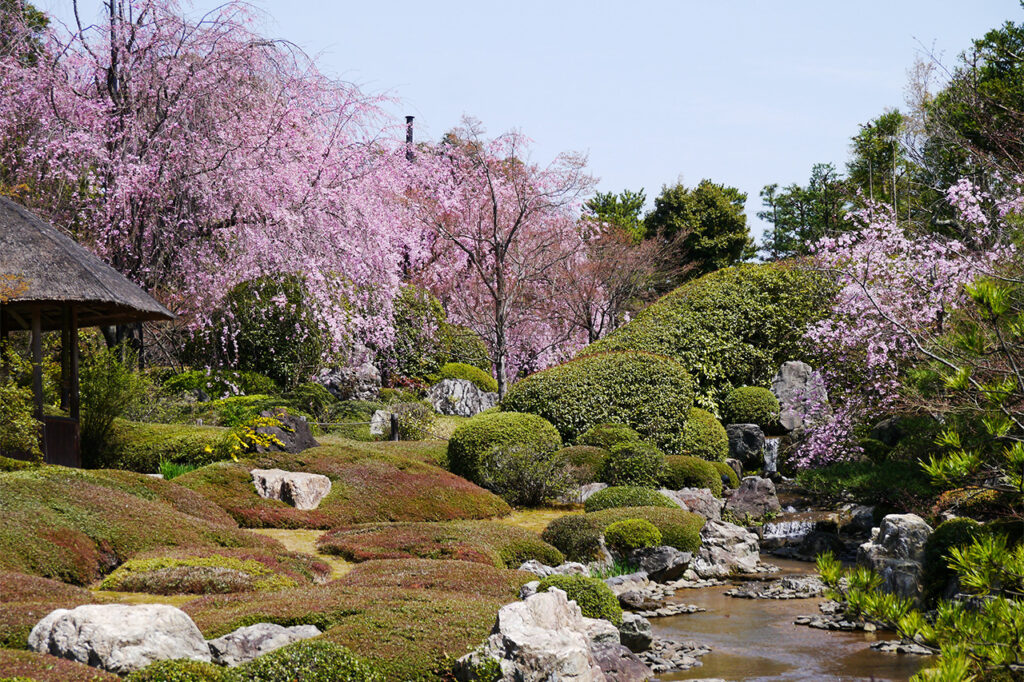 妙心寺 退蔵院