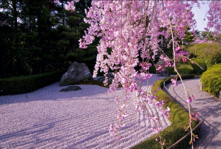 陰陽の庭