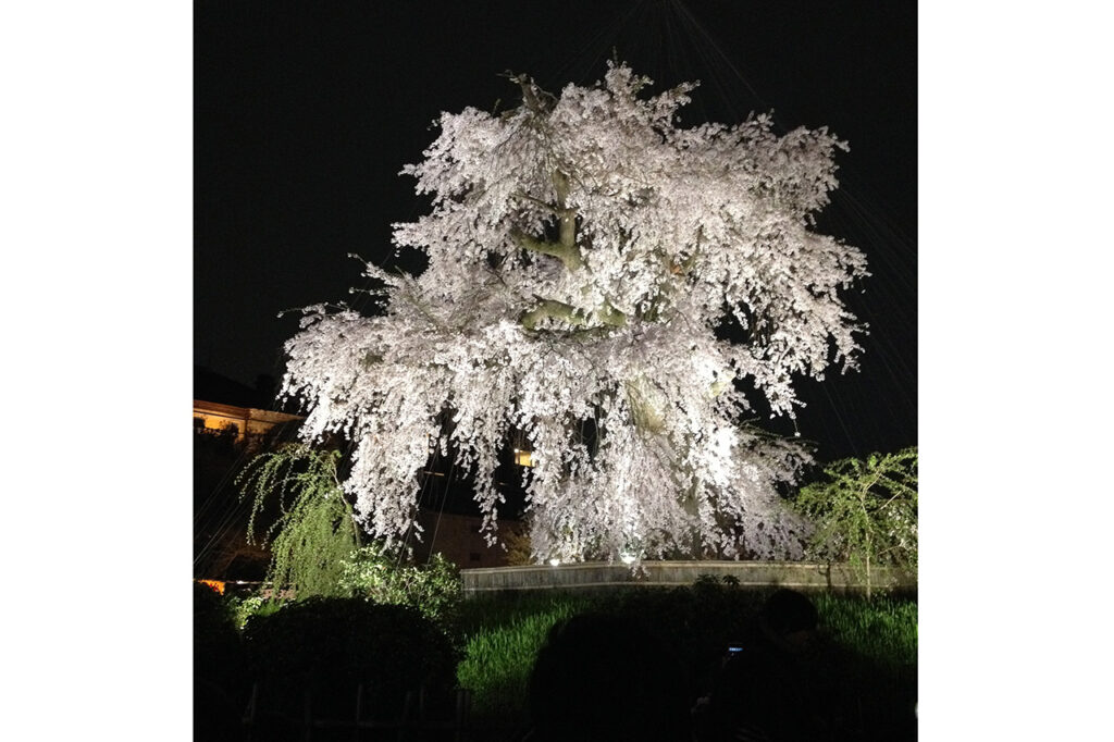 Maruyama Park