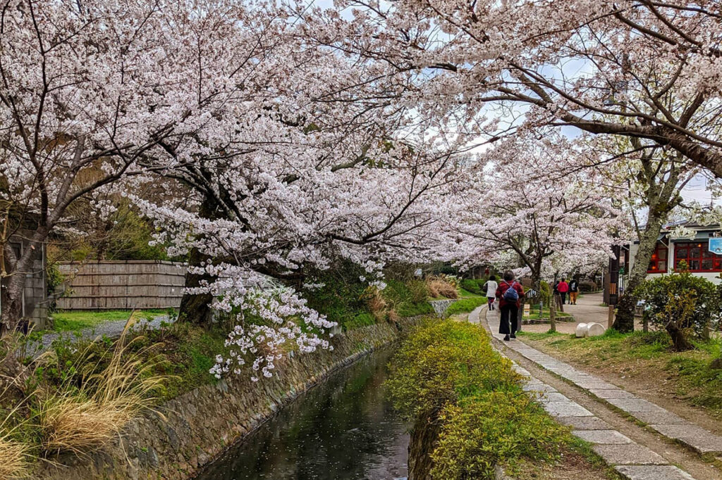 哲学の道