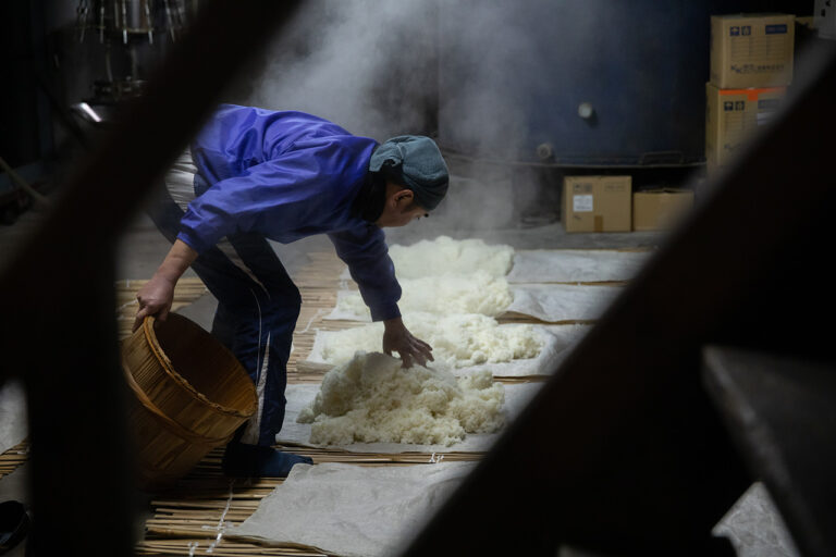 Preparation process at Tanaka Sake Brewery