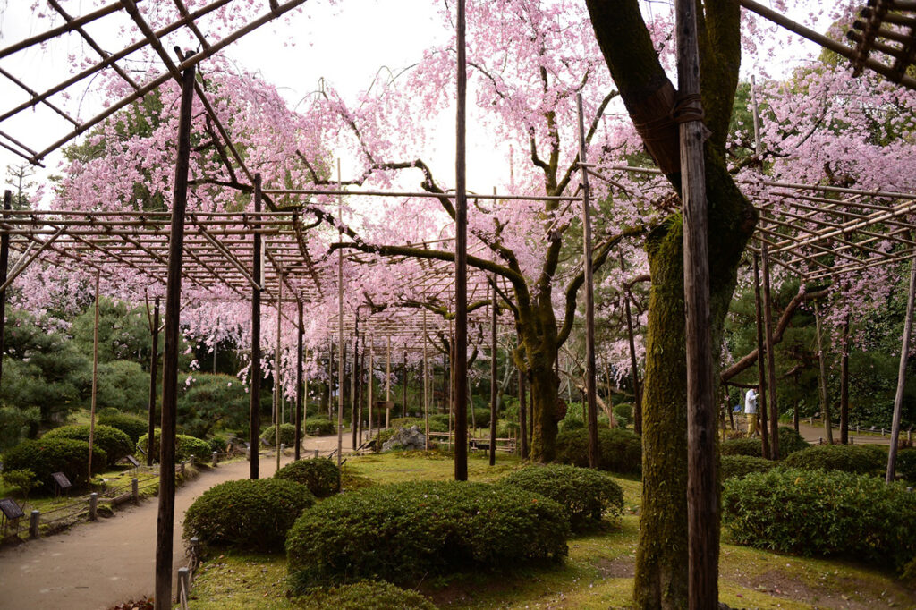 Heian Shrine