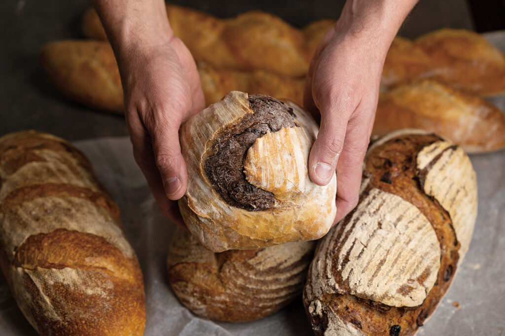 hyatt regency bread