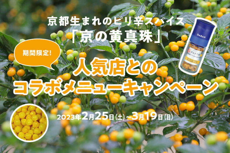 Collaboration menu campaign with popular restaurants for the spicy spice "Kyoto Yellow Pearl" born in Kyoto.