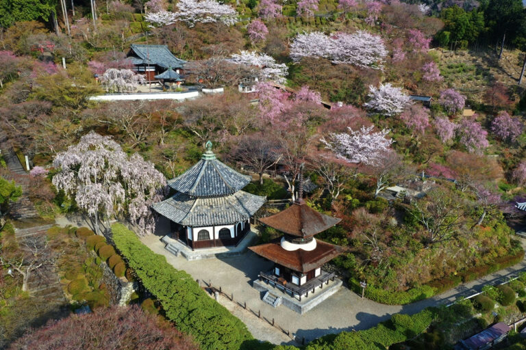 善峯寺