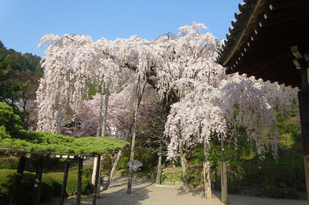 Yoshimine-ji Temple