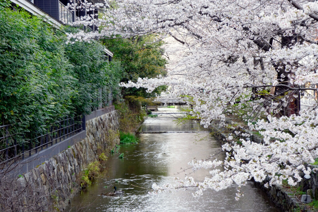 木屋町通り