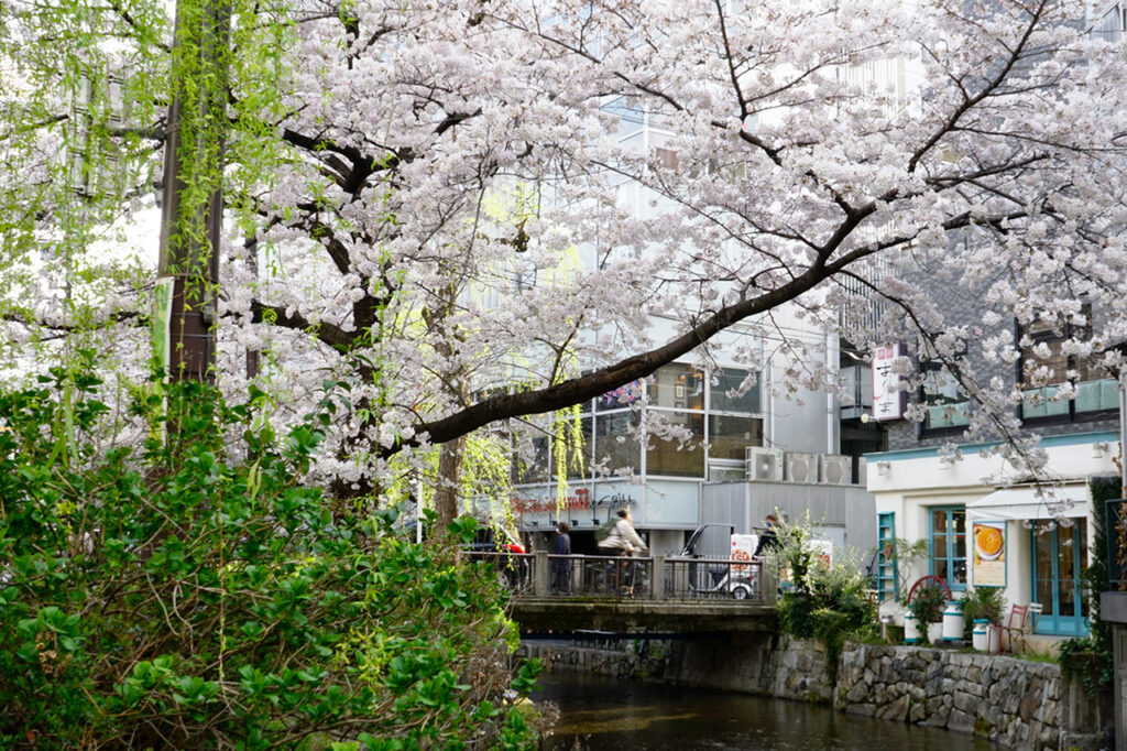 Kiyamachi Street