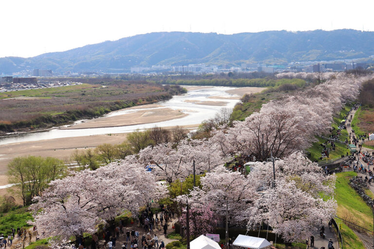 塞瓦里堤防