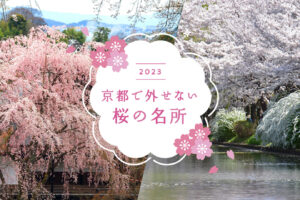 [2023] 22 must-see cherry blossom spots in Kyoto