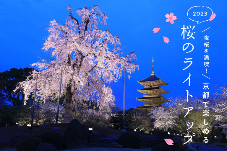 [2023] Enjoy the cherry blossoms at night! Light-up of cherry blossoms to enjoy in Kyoto