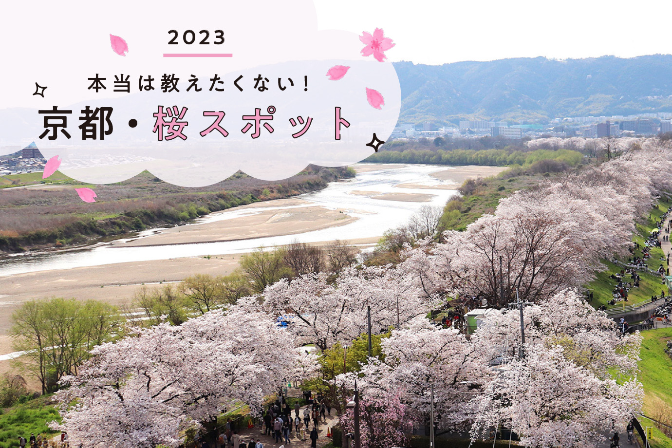 2023］本当は教えたくない！京都・桜スポット9選 | Leaf KYOTO