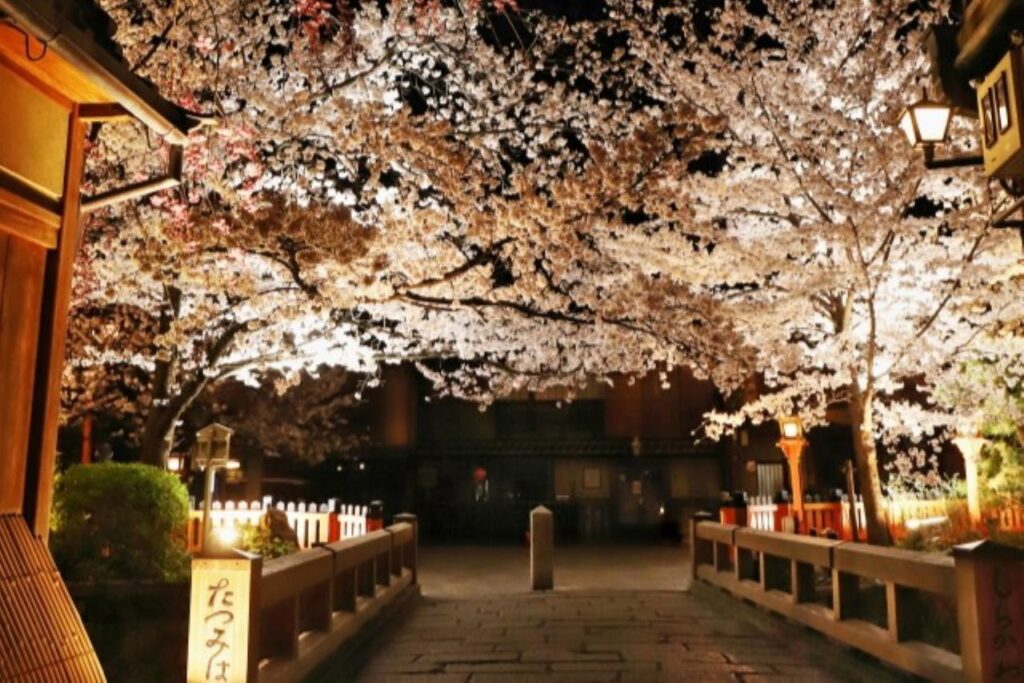 Gion Shirakawa Light-up