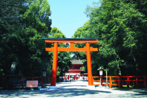 The turbulent Heian period depicted in the Aoi Matsuri and the Tadasuga Forest [Shimogamo Shrine] / The Tale of Genji