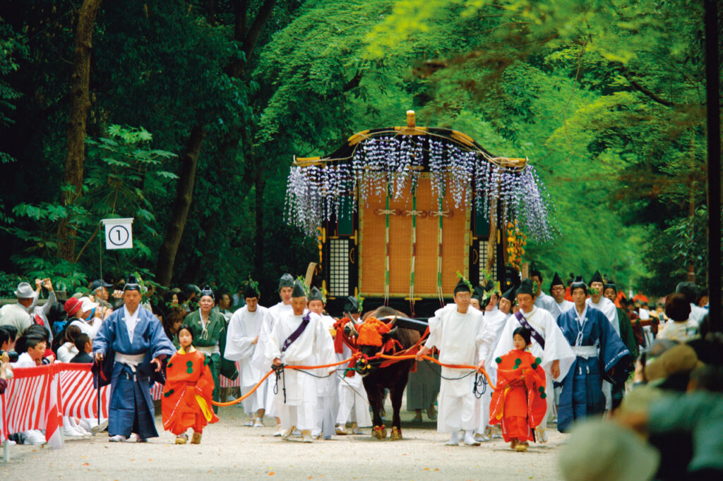 Aoi Festival