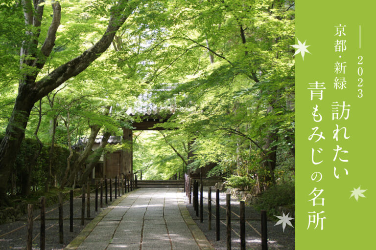 京都で初夏を感じる「青もみじ」の名所