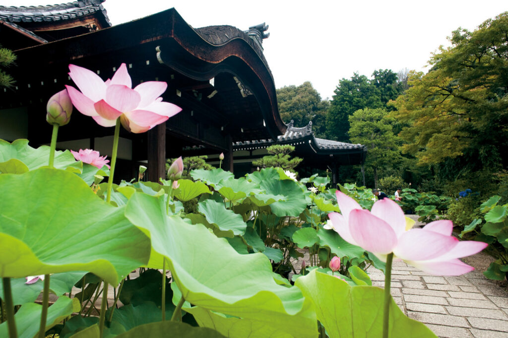 法金剛院