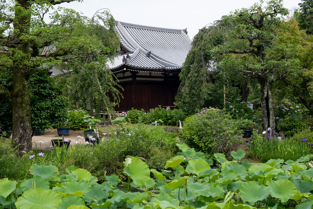 法金剛院