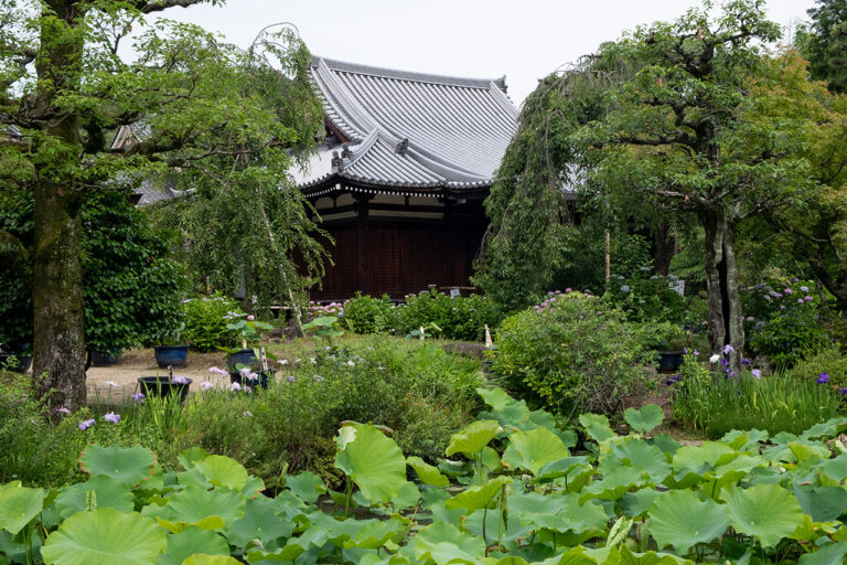 法金剛院