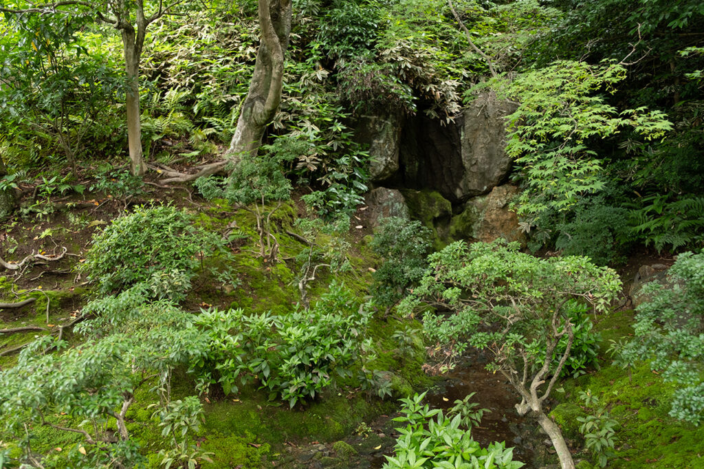 法金剛院