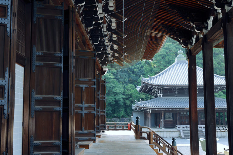 National Treasure of Chion-in Temple, Mieido Entrance