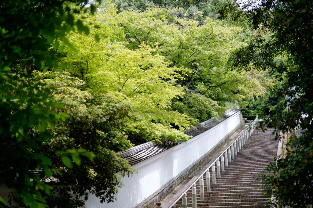 知恩院の境内