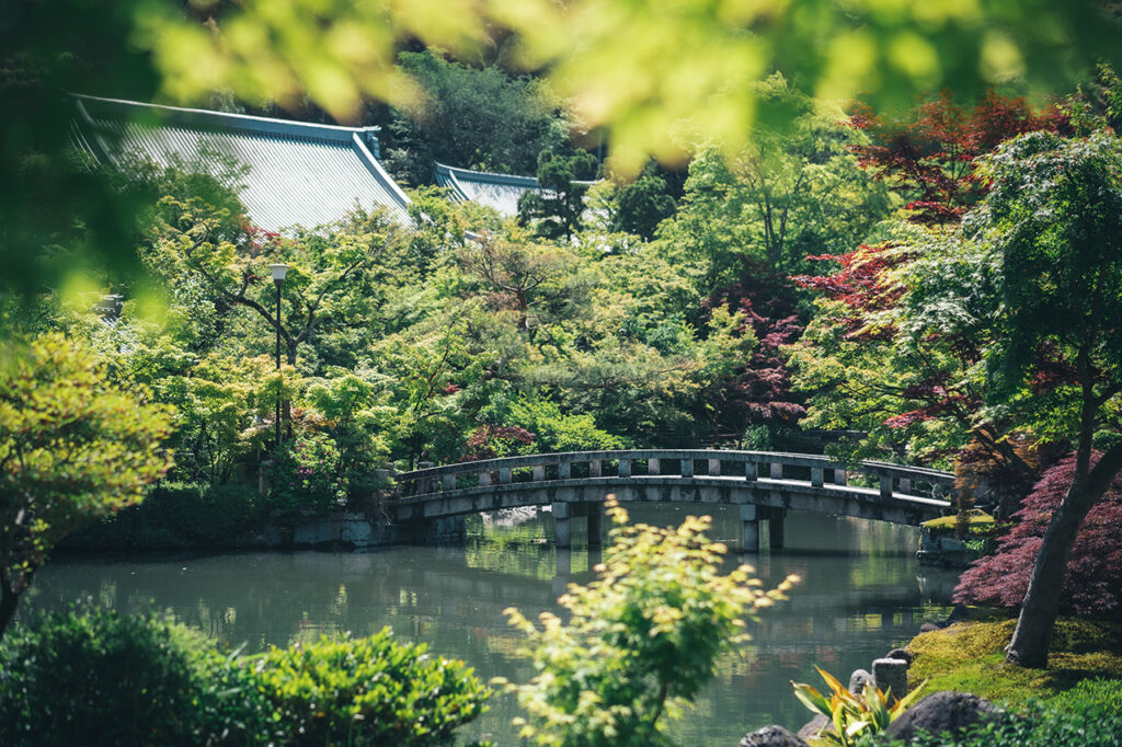 Eikando's Houshoike Pond