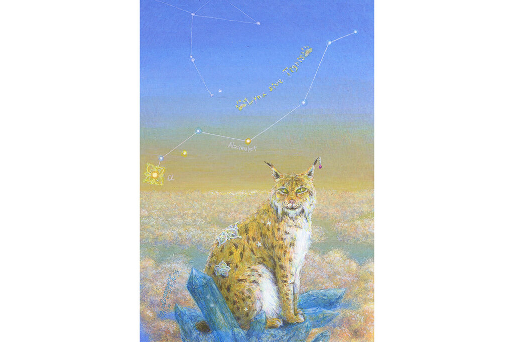 Yasuko Shimizu The Magic of the Wildcat