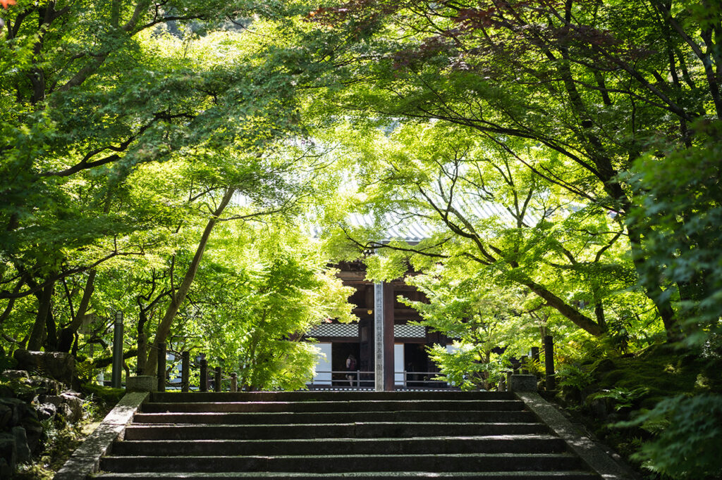 永観堂メイン