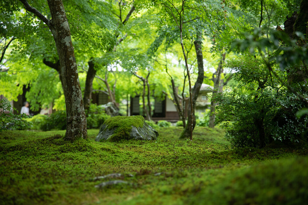 Enkoji Temple