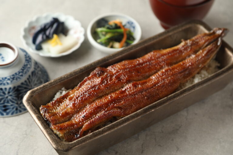 Eel 4th generation Kikukawa