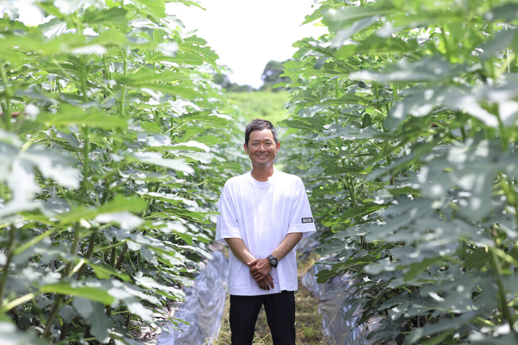 KYOTO Fig FACTORY