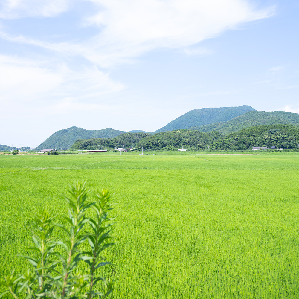 京都北部 美味しい丹後お取り寄せ