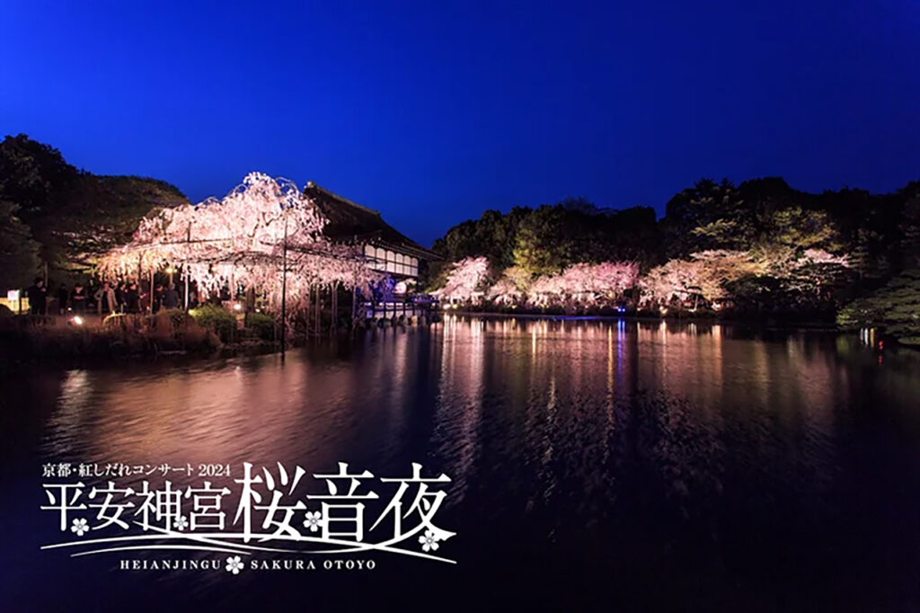 平安神宫的樱花之夜。