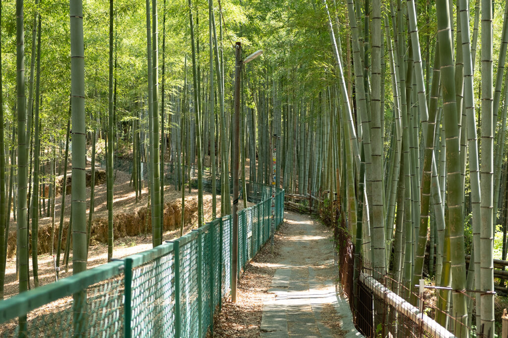 Fushimi Jinpo Shrine