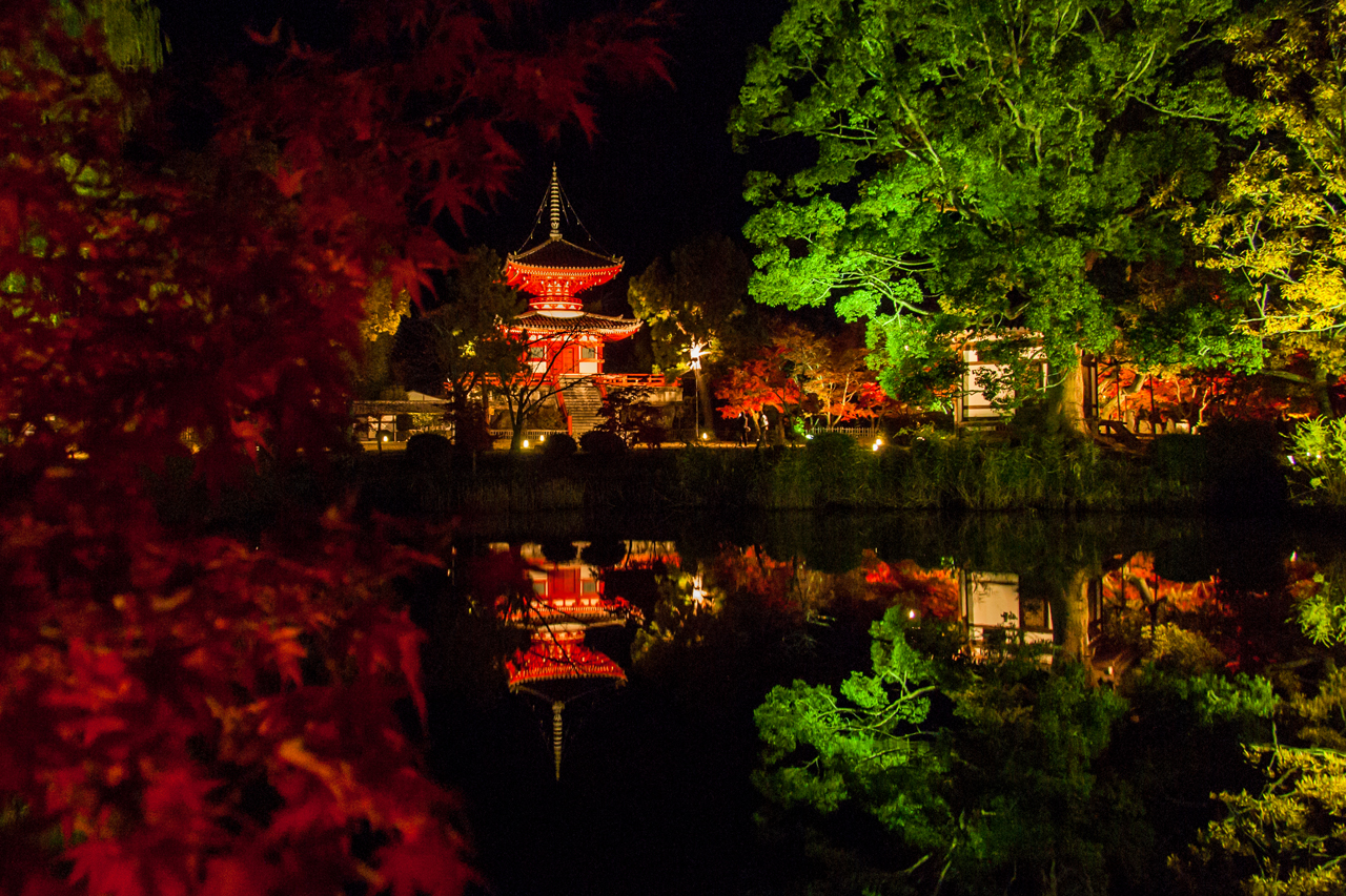 大沢池ライトアップ／大覚寺 | Leaf KYOTO
