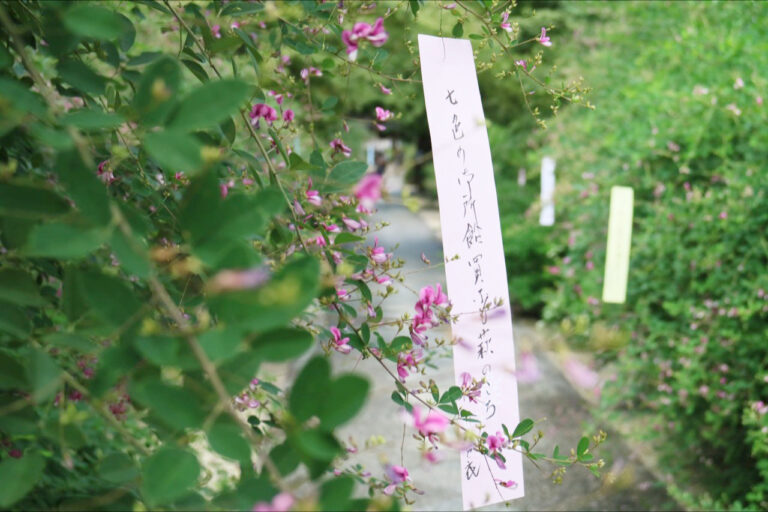 萩まつり 梨木神社