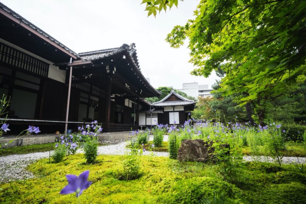 廬山寺