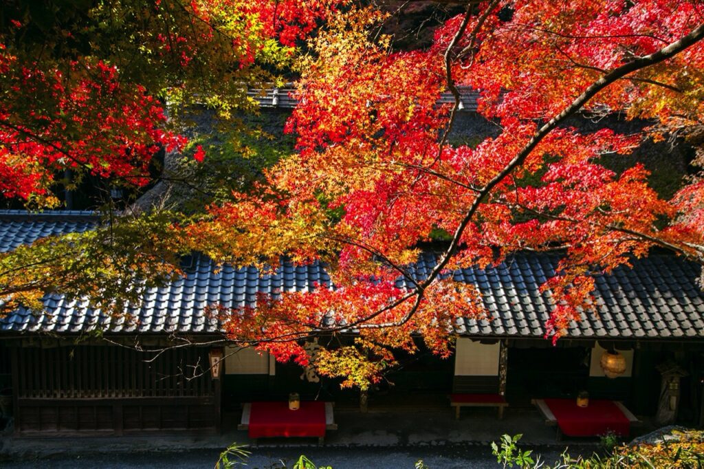 平野屋外观。