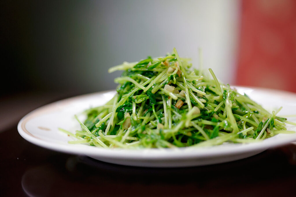 Fried bean sprouts with garlic at Touhoku House