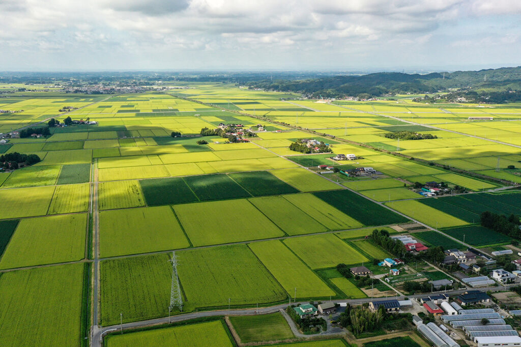 Rice paddy field area in Misato Town