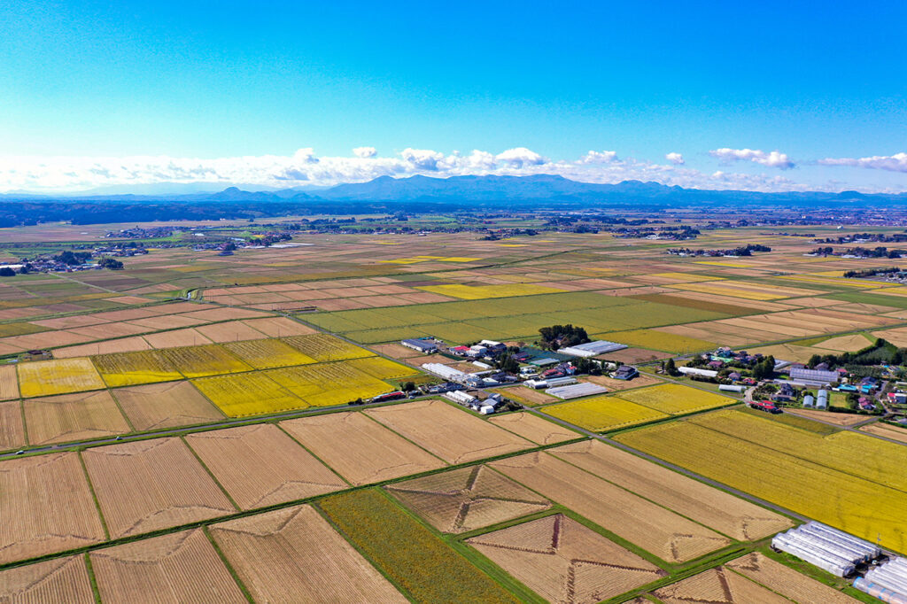 Harvest time in Misato Town