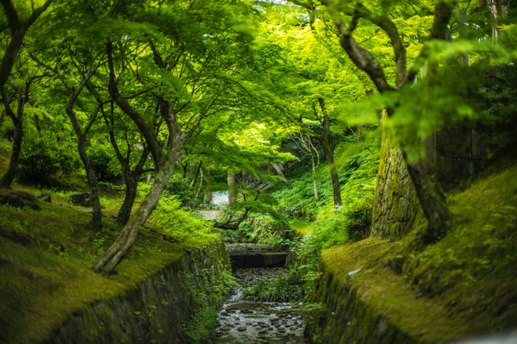 Tofukuji Temple