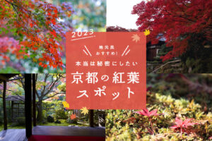 混雑回避ならここ！知る人ぞ知る京都の紅葉スポット