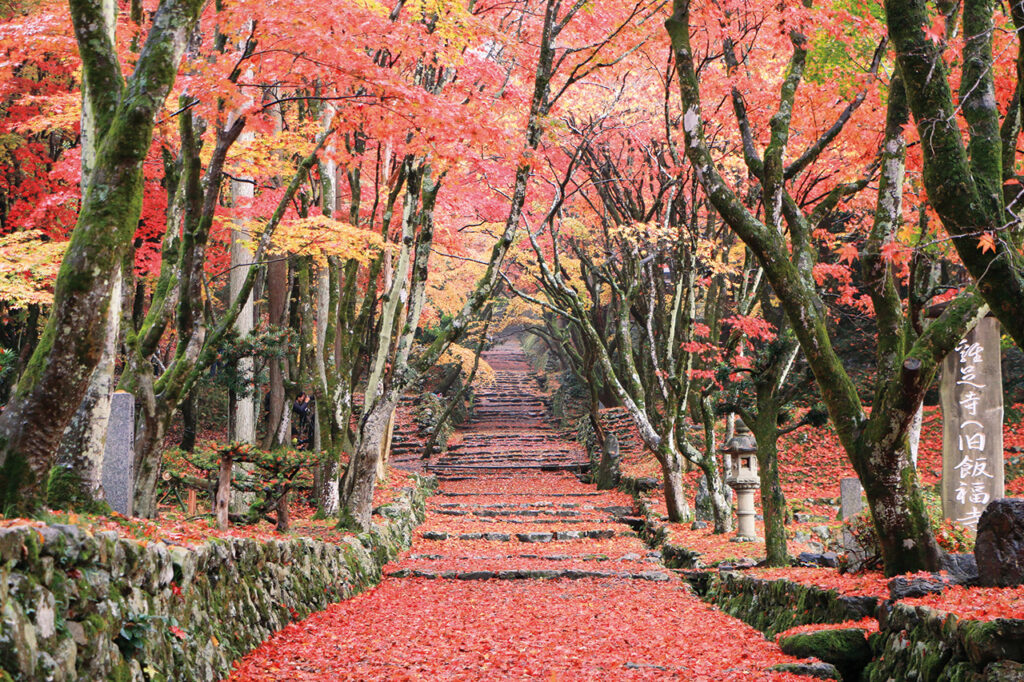 one of the six administrators of a Zen temple