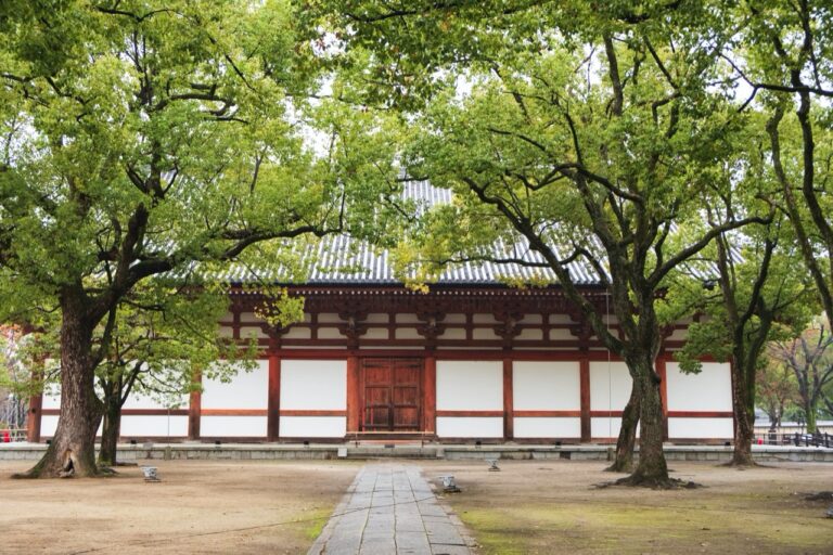 京都的地标！世界文化遗产 [东寺] 的景点和历史指南。
