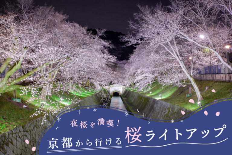 从京都可抵达的樱花照明。