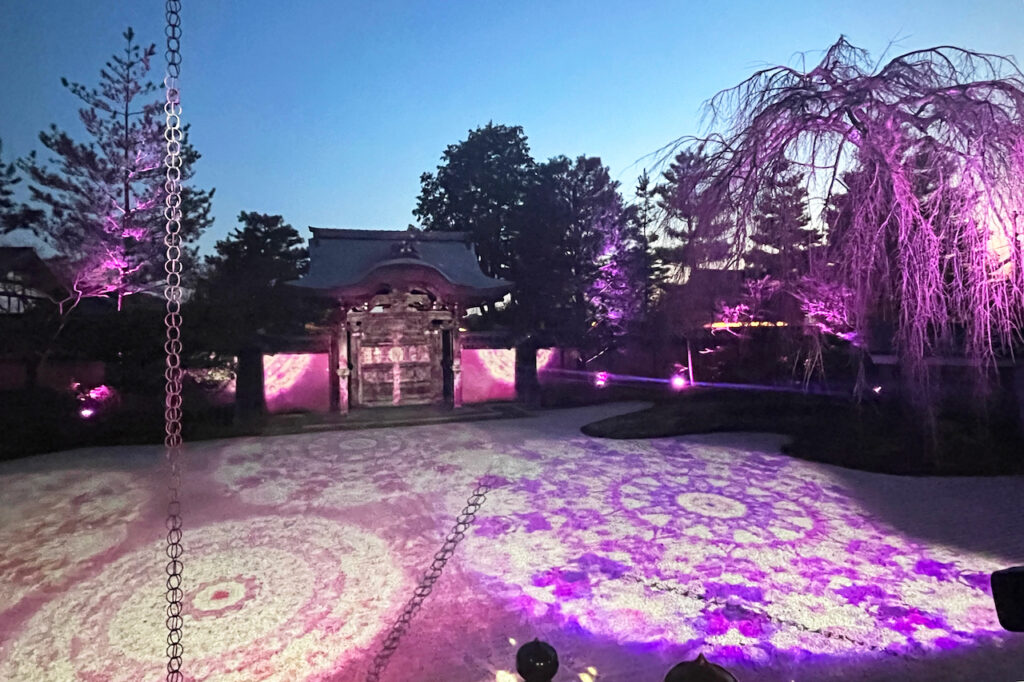 Kodaiji Temple Special Spring Nighttime Viewing